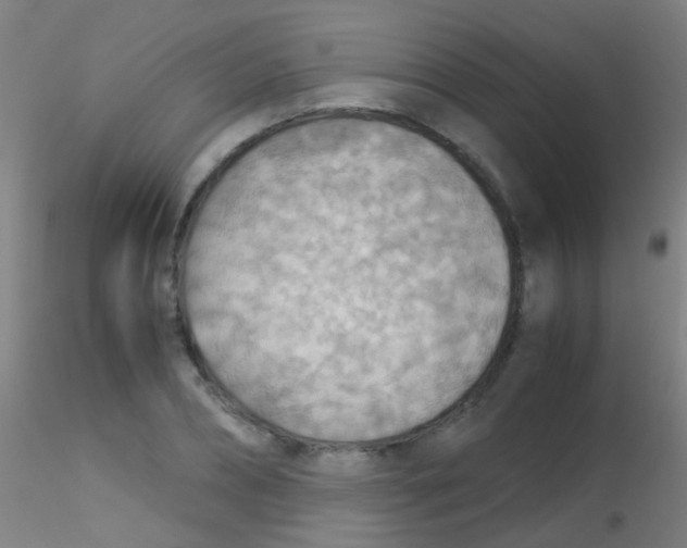 X0000115190882200911251417