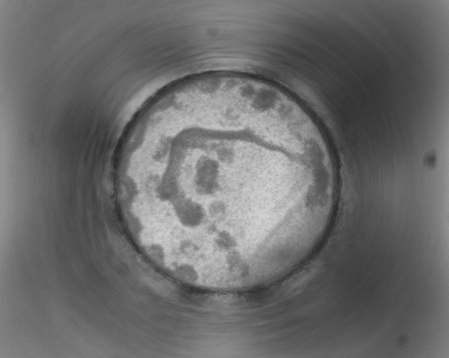 X0000115190883200911251417