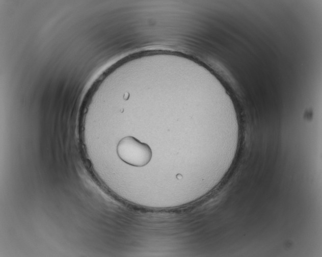 X0000115190884200911251417