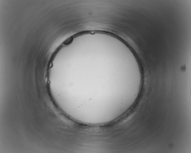 X0000115190885200911251417