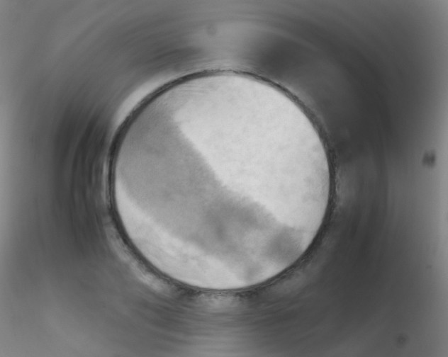 X0000115190886200911251417