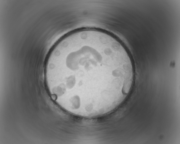 X0000115190887200911251417