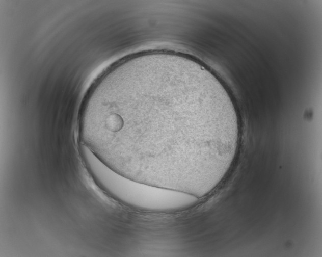 X0000115190888200911251417