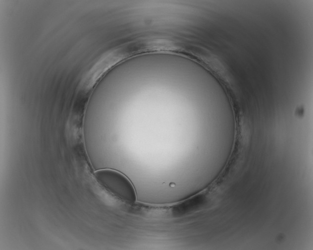 X0000115190889200911251417