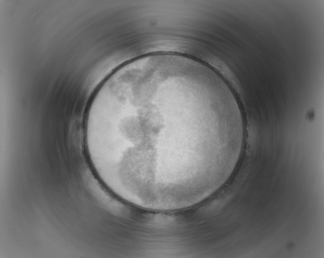 X0000115190890200911251417