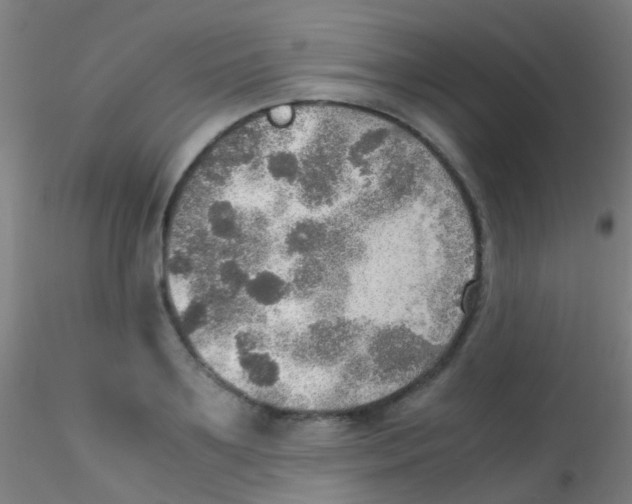 X0000115190891200911251417