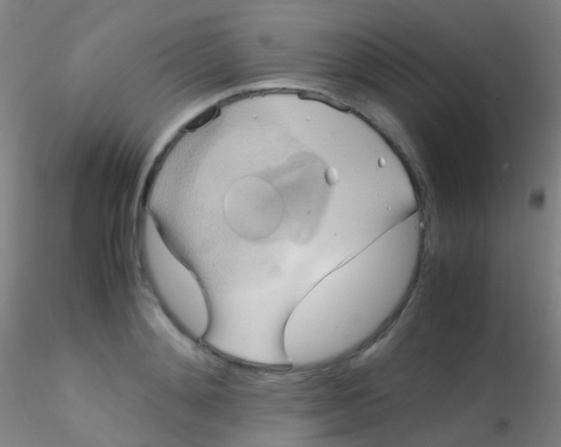 X0000115190892200911251417