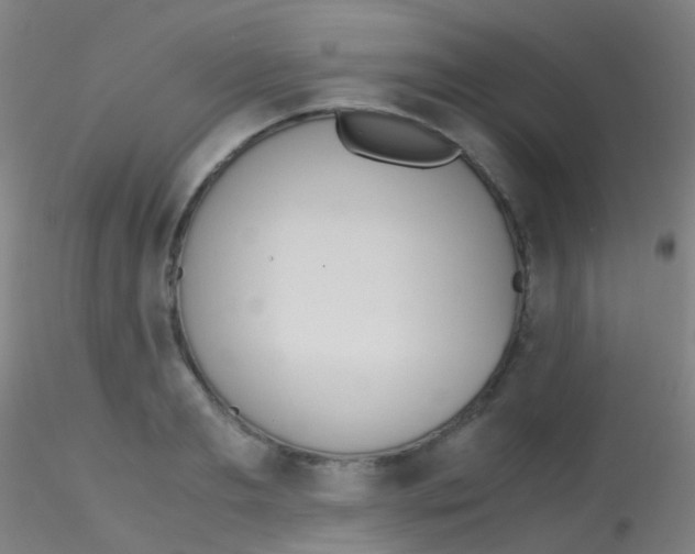 X0000115190893200911251417