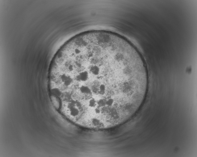 X0000115190895200911251417