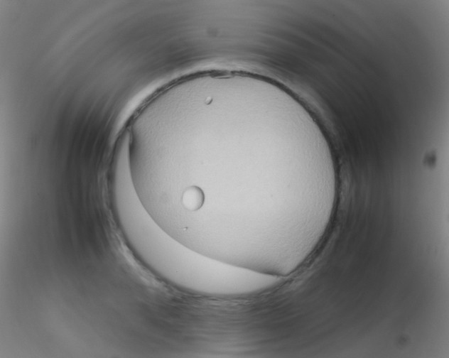 X0000115190896200911251417