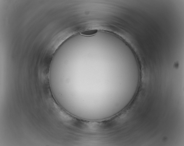 X0000115190897200911251417