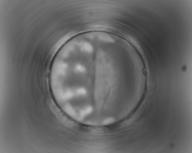 X0000115190899200911251417