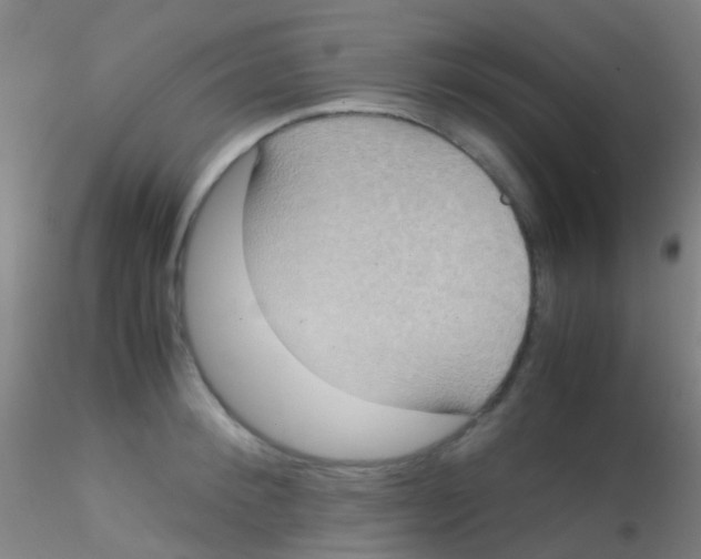 X0000115190900200911251417