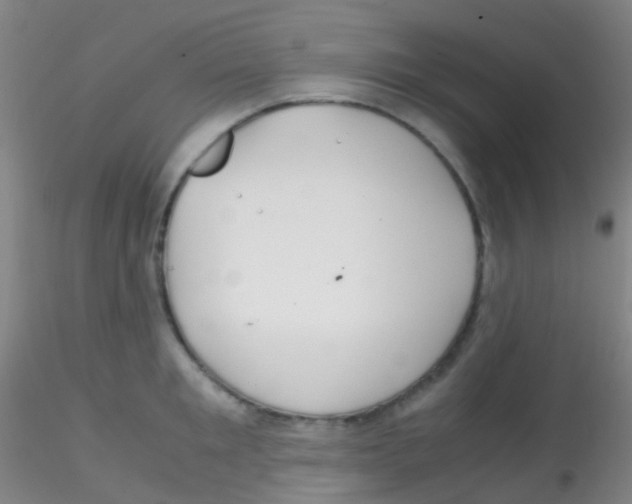 X0000115190901200911251417