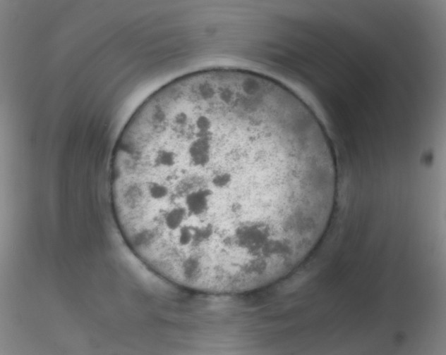 X0000115190903200911251417