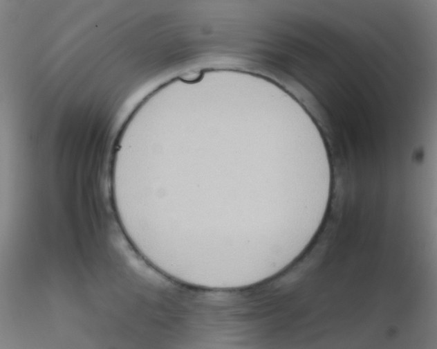 X0000115190904200911251417