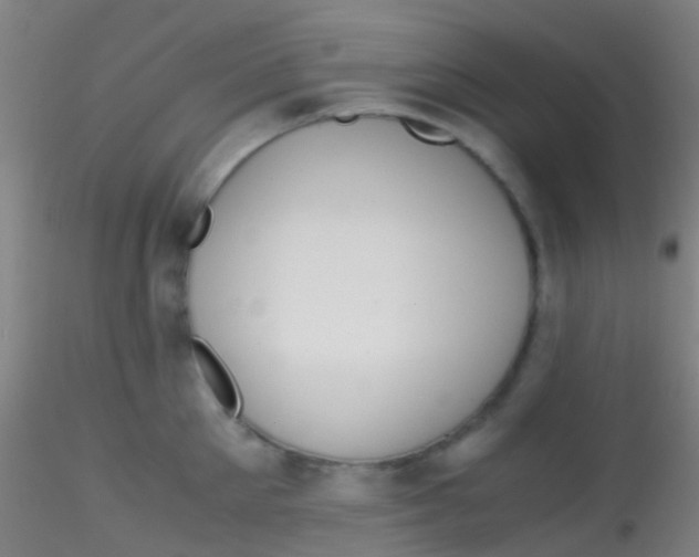 X0000115190905200911251417