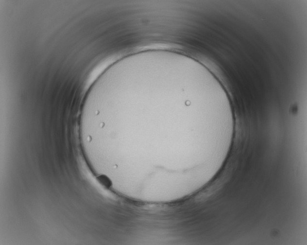 X0000115190906200911251417