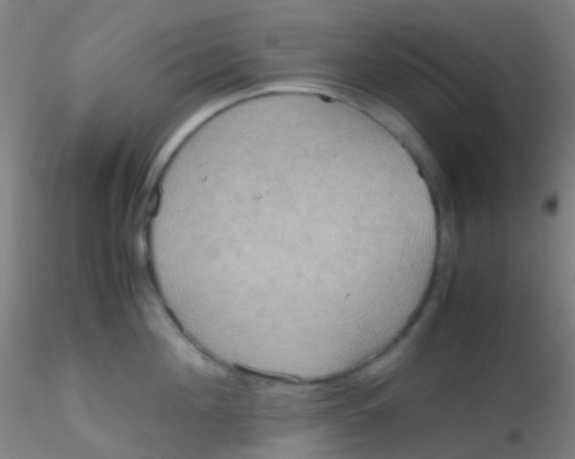 X0000115190908200911251417