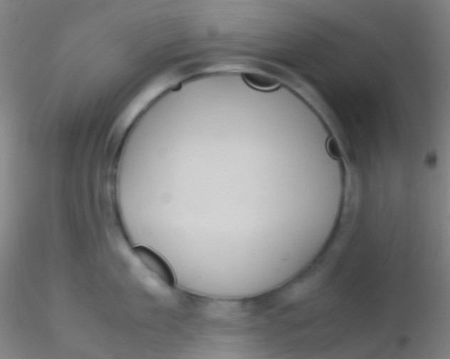 X0000115190909200911251417