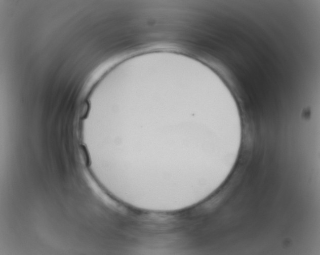 X0000115190910200911251417