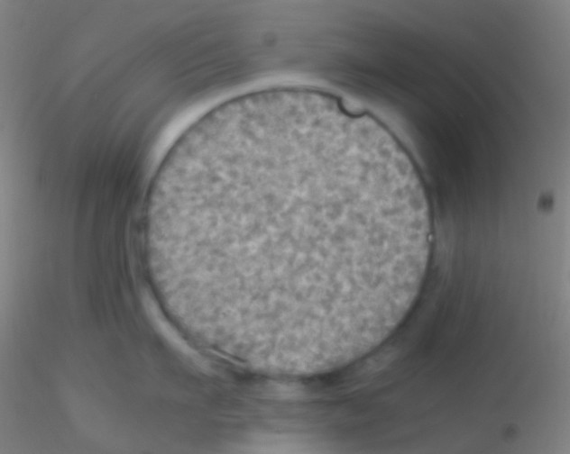 X0000115190911200911251417