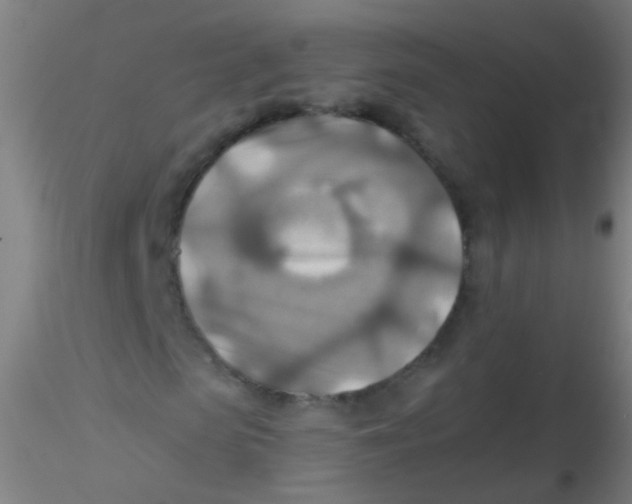 X0000115190913200911251416