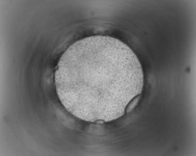 X0000115190914200911251416