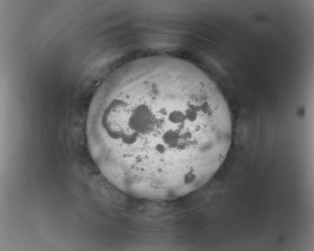 X0000115190917200911251416