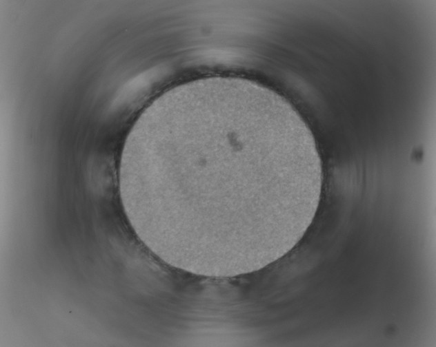 X0000115190918200911251416