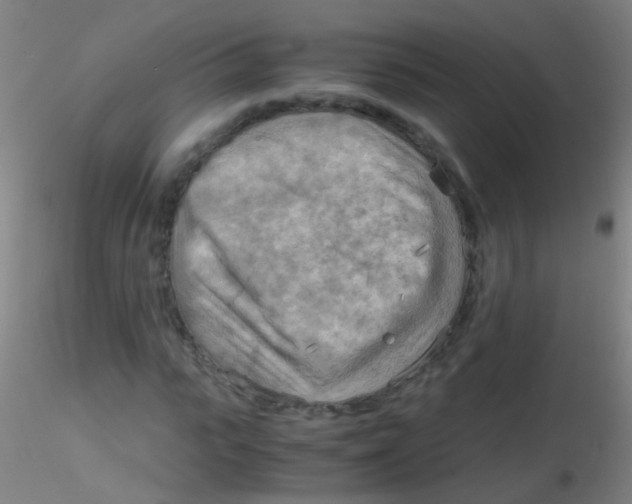 X0000115190919200911251416