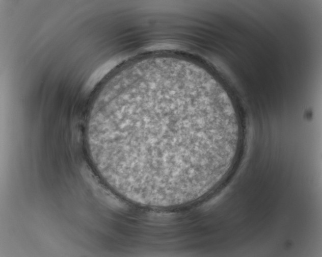 X0000115190921200911251416