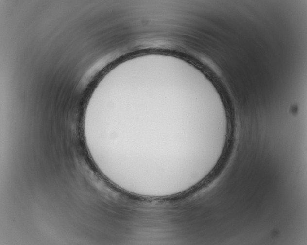 X0000115190922200911251416