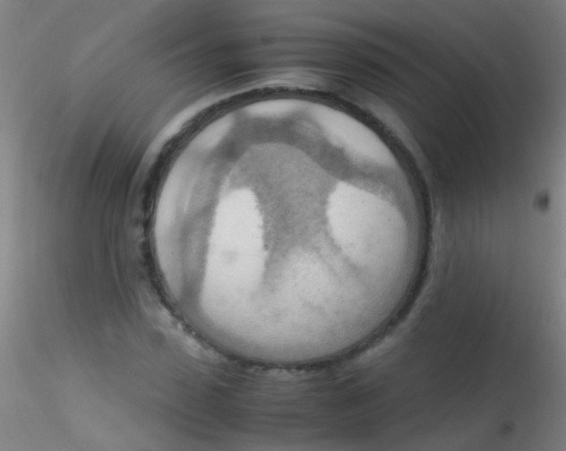 X0000115190923200911251416