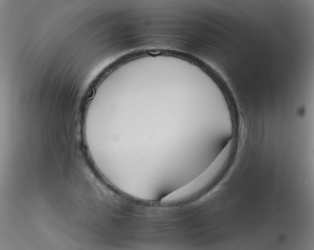 X0000115190925200911251416