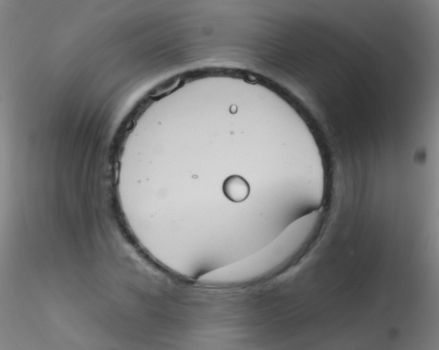 X0000115190926200911251416