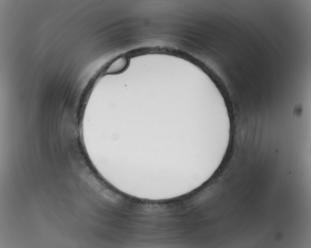 X0000115190927200911251416