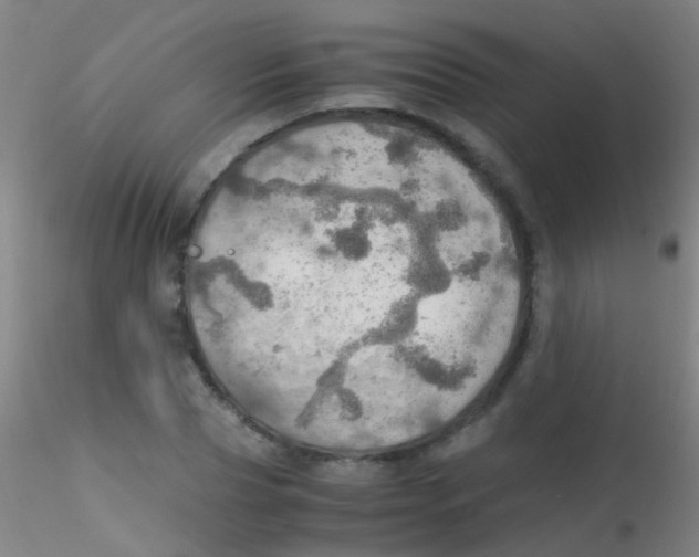 X0000115190929200911251416