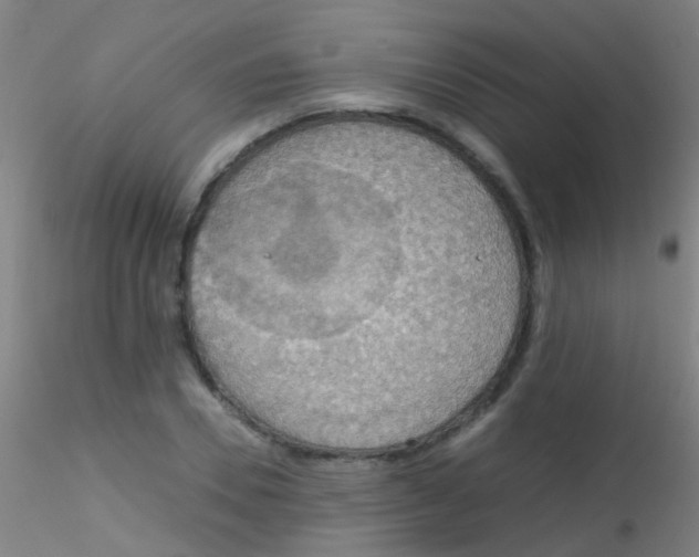 X0000115190930200911251416