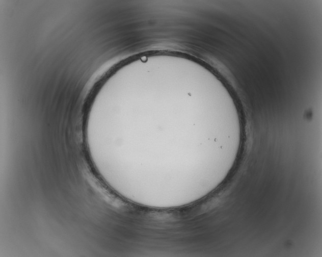 X0000115190931200911251416