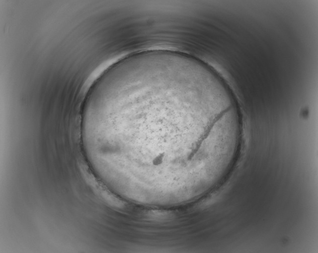 X0000115190933200911251416