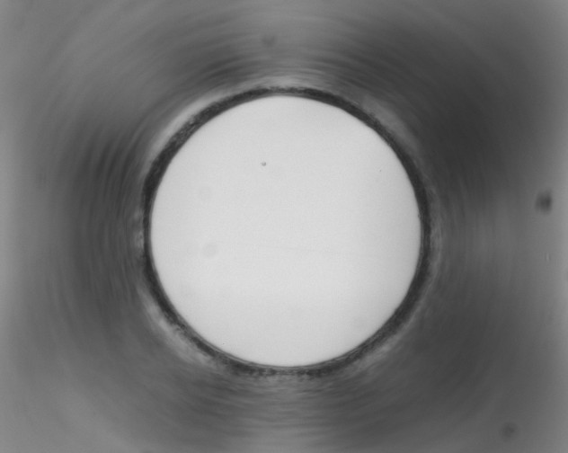 X0000115190934200911251416