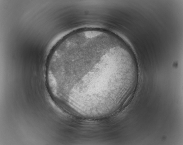 X0000115190935200911251416