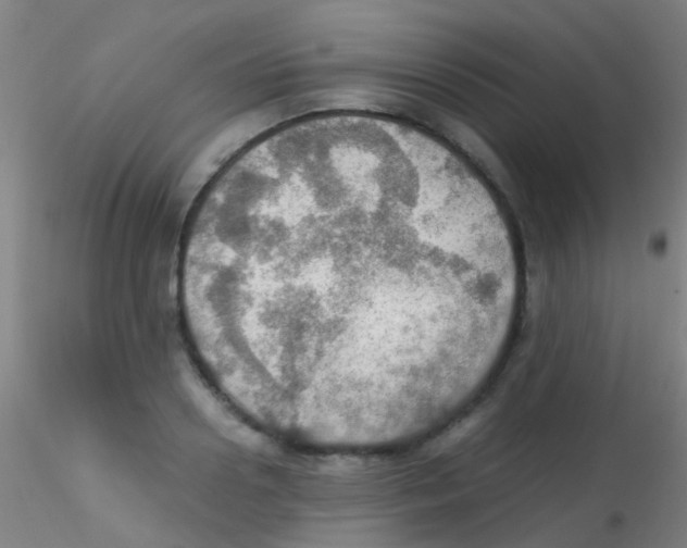 X0000115190938200911251416