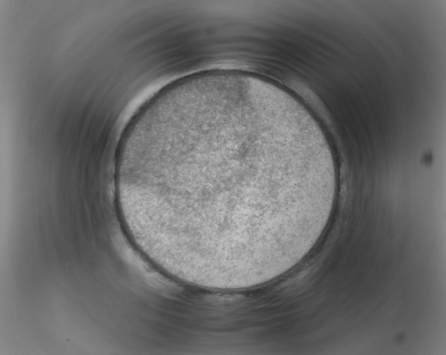 X0000115190939200911251416