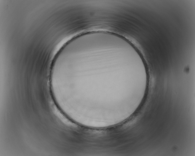 X0000115190941200911251416