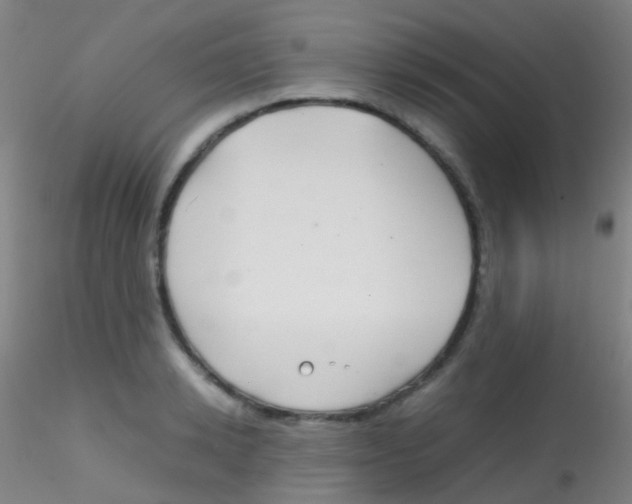 X0000115190942200911251416