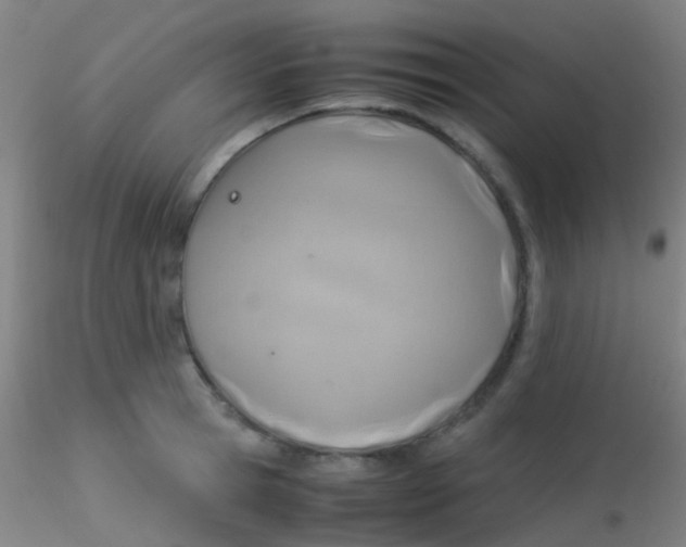 X0000115190945200911251416