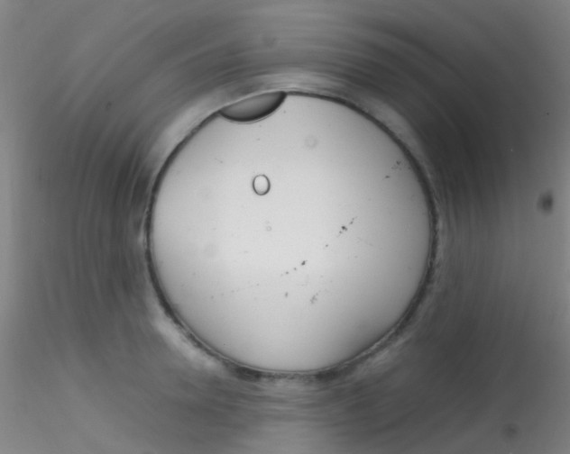 X0000115190946200911251416