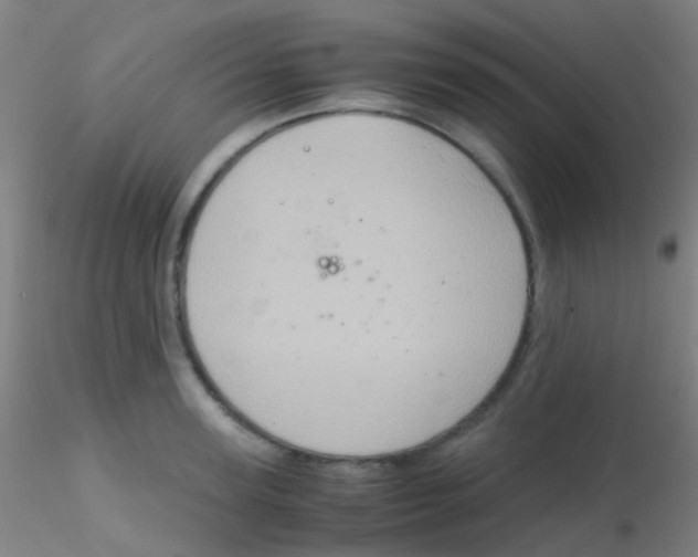 X0000115190947200911251416